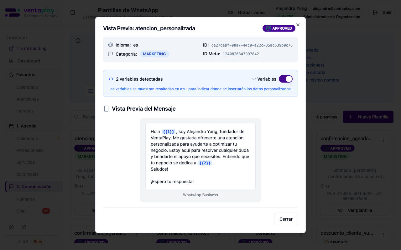 Preview de plantilla